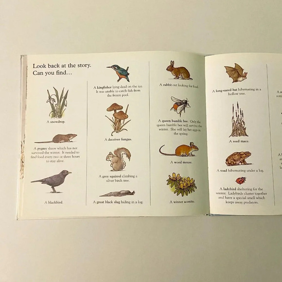 Vintage 1996 Fang The Story of a Fox Book Tessa Potter and Ken Lilly - Picture 15 of 16